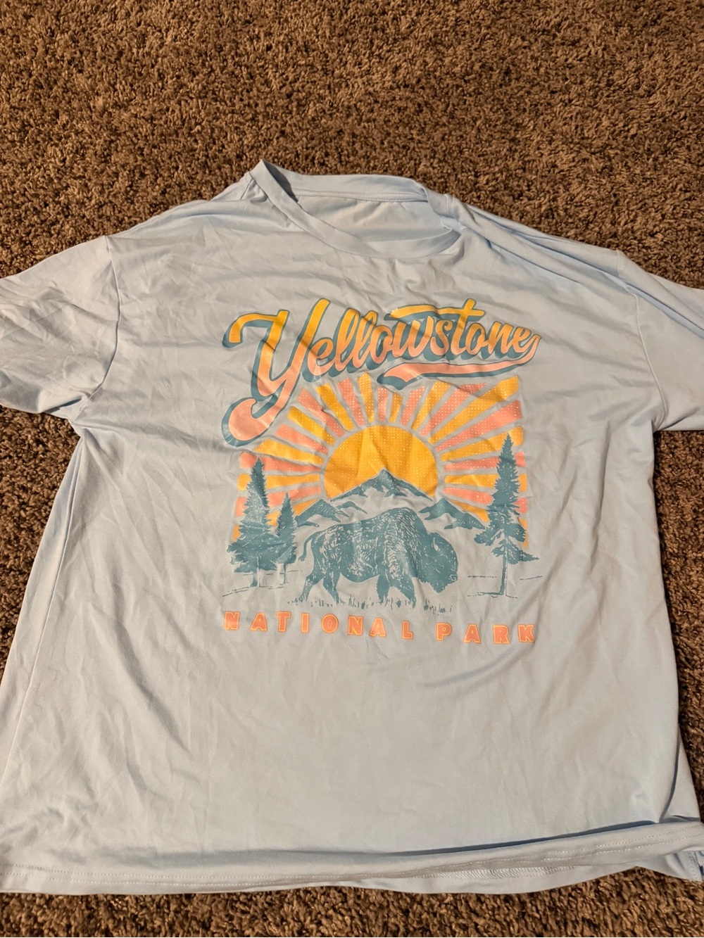 SHEIN Light Blue Yellowstone Graphic Tee with Sunburst Print
